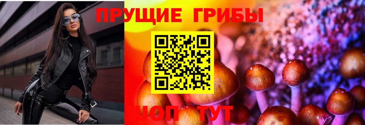 Галлюциногенные грибы GOLDEN TEACHER  Псилоцибиновые грибы мухоморы  Вход с VPN  Старая Купавна 
